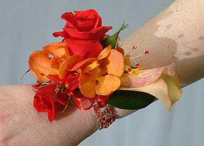 red_band_pale_mango_cala