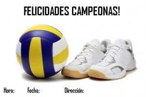 volleyball_with_shoe