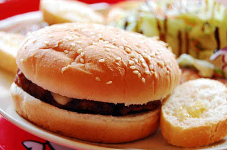 burger1869 burger1869