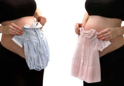 Imagen 0/1